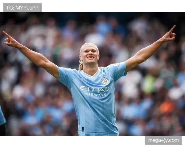 哈兰德与范尼禁区效率对比：嗅觉、终结与时代技术风格差异