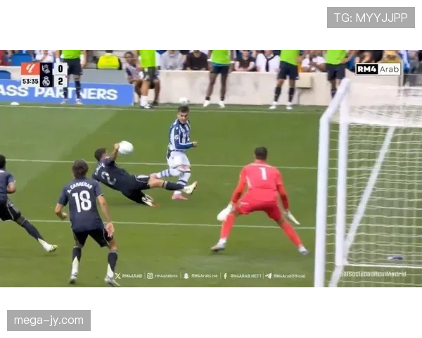 手球判罚标准：裁判如何认定不合理扩大身体为犯规