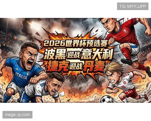 波黑队世界杯征程正式开启